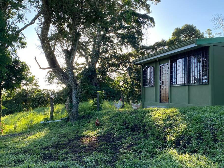 Basecamp Arenal Aparthotel Tronadora Exterior foto